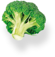Un broccoli ? Yooji